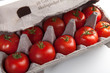 Tomaten im Eierkarton 5