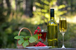 Romantisches Picknick im Wald