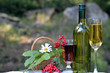 Romantisches Picknick im Wald