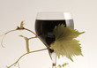 ein Glas Rotwein mit Weinlaub