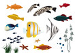 colorful tropical fishes on white background