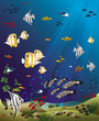tropical fishes bottom of the ocean