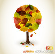 Abstract Vector autumn tree illustration Abstract Vector autumn tree illustration