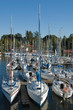 Photo: Marina Marina