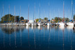 Photo: Marina Marina