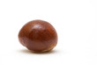 Conker isolated on white background