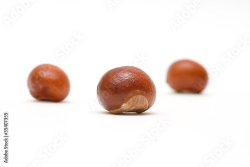 Photo: Conkers isolated on white background Conkers isolated on white background
