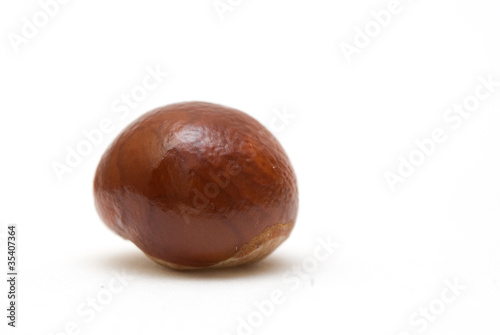 Photo: Conker isolated on white background Conker isolated on white background