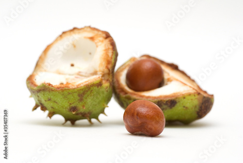 Photo: Acorns isolated on white background Acorns isolated on white background