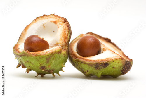 Photo: Acorns isolated on white background Acorns isolated on white background