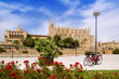 Majorca Cathedral and Almudaina from red flowers garden Majorca Cathedral and Almudaina from red flowers garden