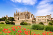 Majorca Cathedral and Almudaina from red flowers garden