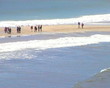 People crossing from St Ninian's Shetland Islands Scotland