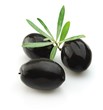 olive branch with leafs