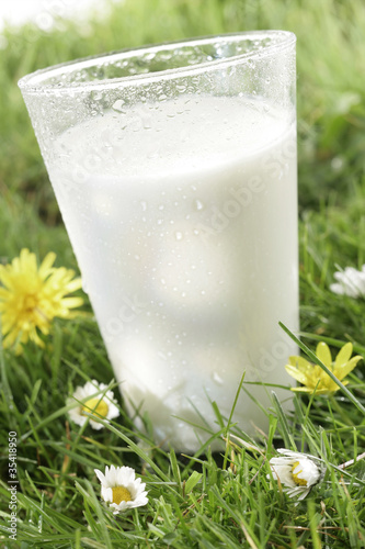 Photo: Verre de lait frais dans l'herbe Verre de lait frais dans l'herbe