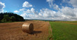 Photo: Hay harvest Hay harvest