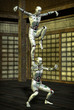 martial arts robot kung fu