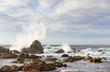 sea rock is breaking powerful wave
