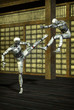 martial arts robot kung fu martial arts robot kung fu