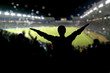 Crowd on the stadium Crowd on the stadium