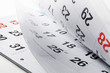 Calendar Pages