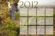 2012 Calendar with Grape Vineyard Background