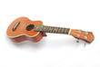 ukulele on the white backgruond ukulele on the white backgruond