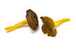 Fresh chanterelle mushrooms Fresh chanterelle mushrooms