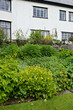 Beautiful garden