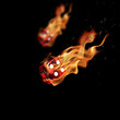Photo en ligne au meilleur prix Flaming dices