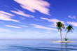 Palms