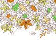 Autumn Leaves Background Autumn Leaves Background