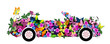 Photo en ligne au meilleur prix floral convertible