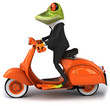 Business frog