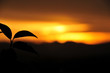 Coucher de soleil Auvergnat