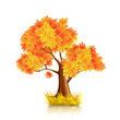 Red Tree