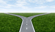 Fork in the road