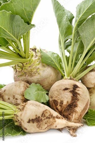 Photo: sugar beet sugar beet