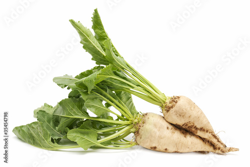 Photo: sugar beet sugar beet