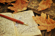 Foto: Old Diary Old Diary