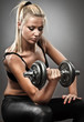 Young athletic woman doing workout Young athletic woman doing workout