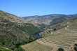 Vallée du douro