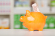 sparschwein mit geldschein