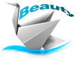 Beauty swan