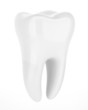 3d human tooth isolated on white background