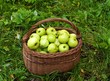 Obstkorb mit Äpfel