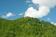 Summer landscape with a trees, mountains, clouds and blue sky Summer landscape with a trees, mountains, clouds and blue sky