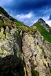Tatry