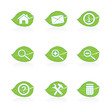 Eco green leaf icon set