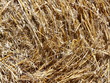 balle de paille ronde